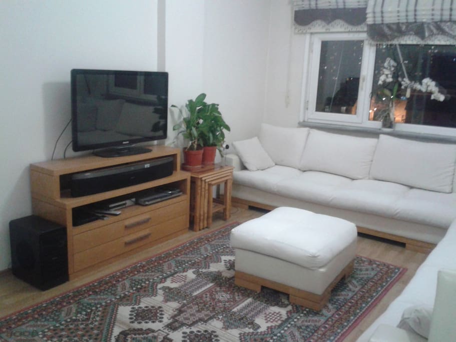 The saloon