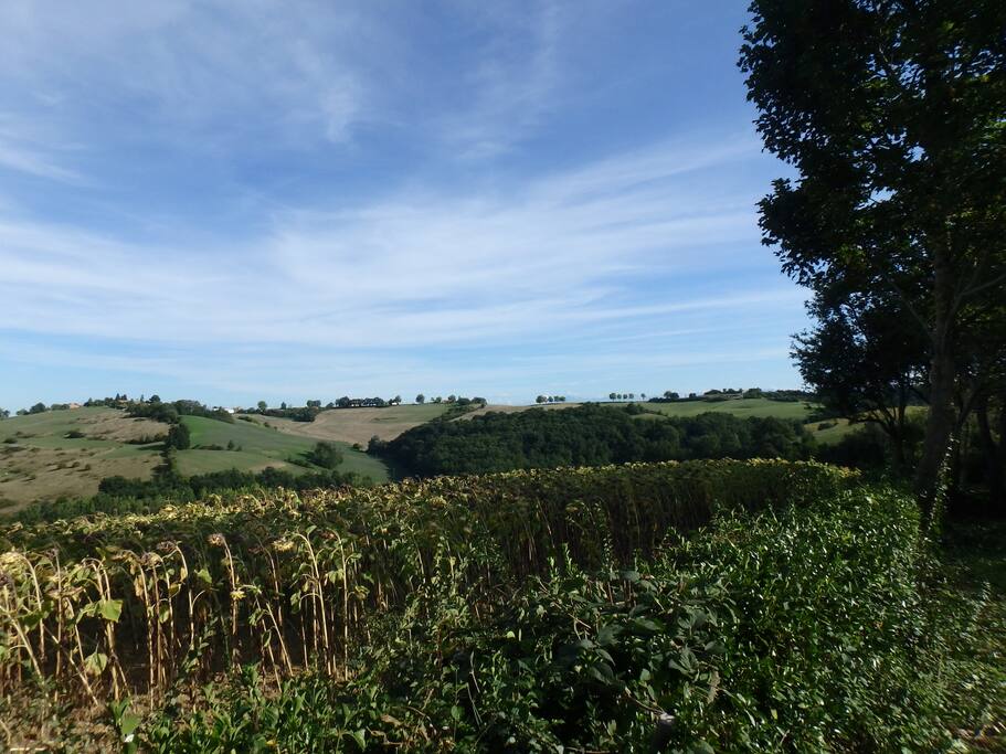 Vue sur la campagne environnante