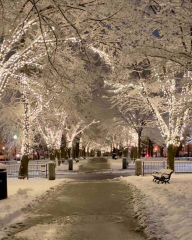 Art Penthouse / Roofdeck in the Heart of Boston gallery image 4