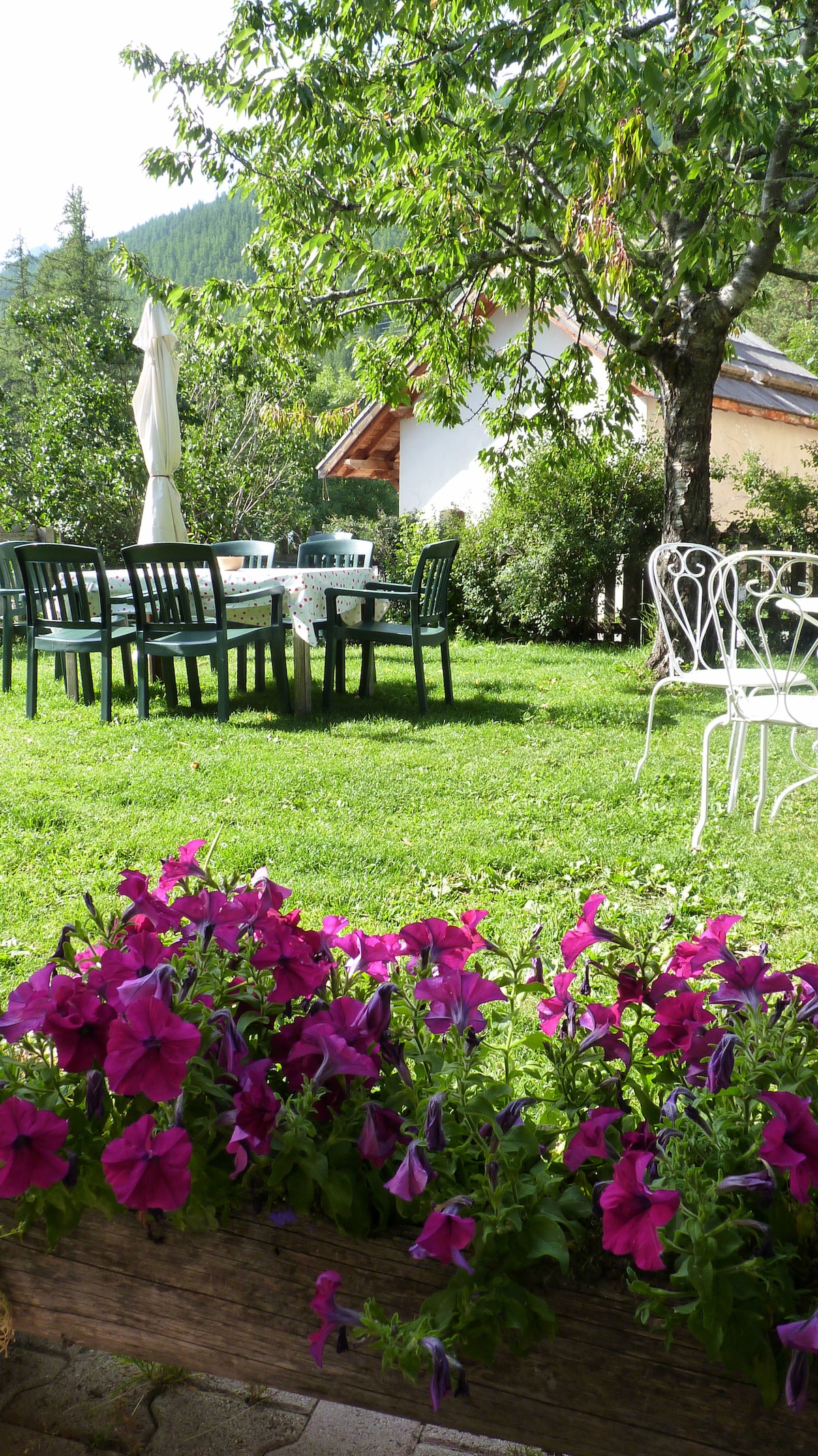 A verdant garden is depicted, featuring a dining table set with chairs shaded by a large umbrella. A white metal chair adds a charming touch, while vibrant flowers in shades of purple and pink bloom in the foreground, enhancing the natural surroundings.