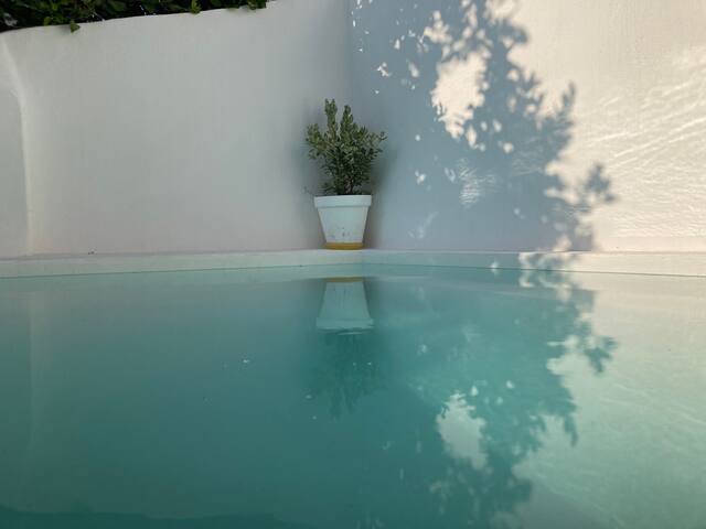 A Casa da Monstera gallery image 3