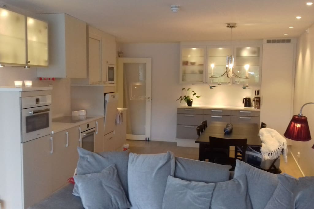 Kitchen/livingroom