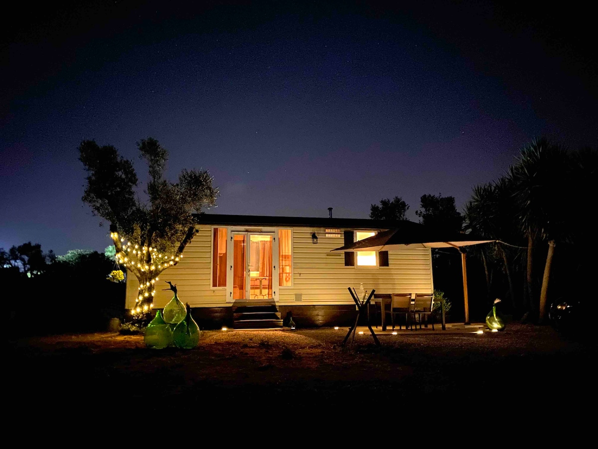 A mobile home is set against a night sky, gently illuminated by decorative lights. The front porch features seating arrangements, while wooden shutters are positioned on either side of the entrance. Surrounding olive trees contribute to the serene atmosphere of the outdoor space.