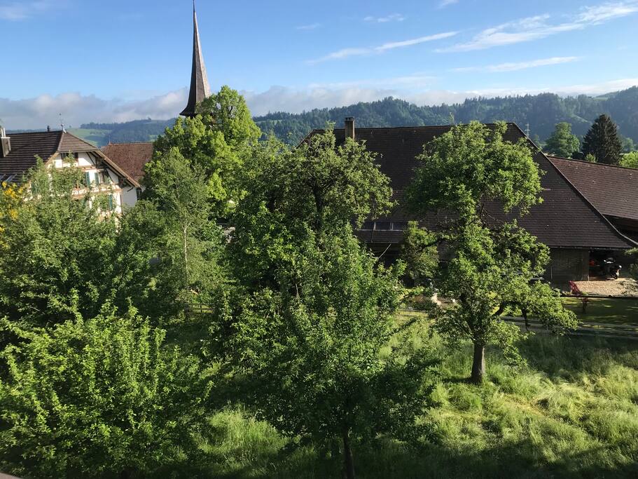 Aussicht von der Wohnküche