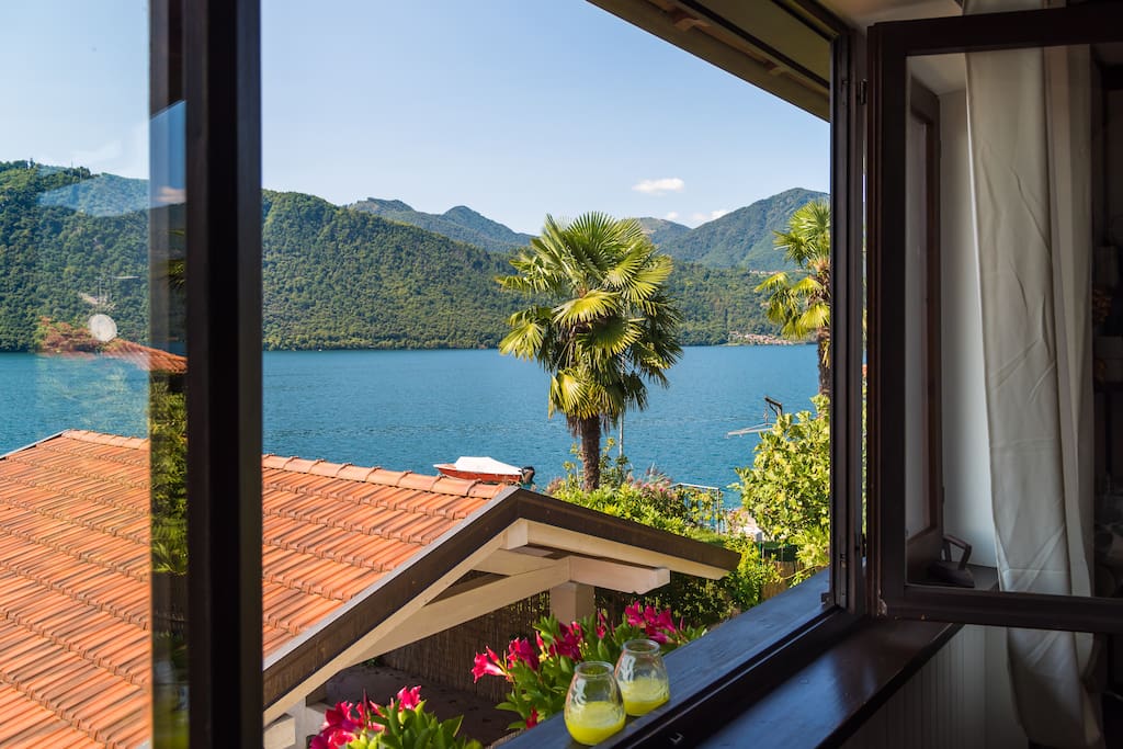 view from the living room window