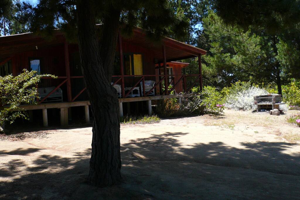 Front of cabin
