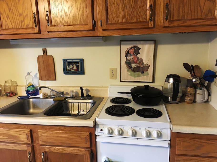 Kitchen has basic appliances: hot water kettle, electric stove, toaster, dish washer, microwave, and oven.