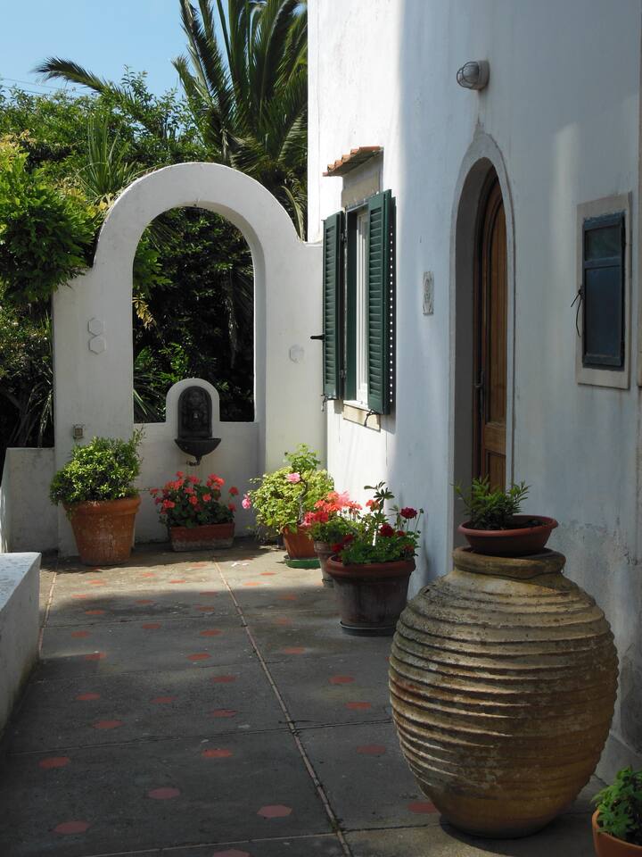 Delightful little garden house