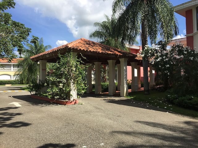 Guavaberry, Juan dolió