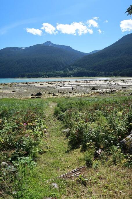 Path to beach (low tide)