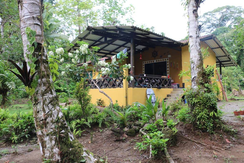 The House / La Casa