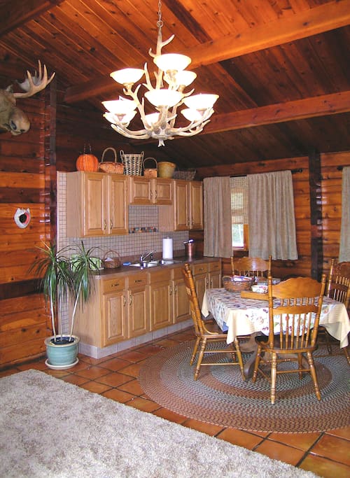 Cabin Kitchen area