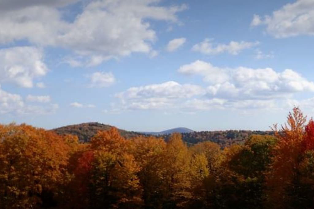 View from the top of the meadow in October.