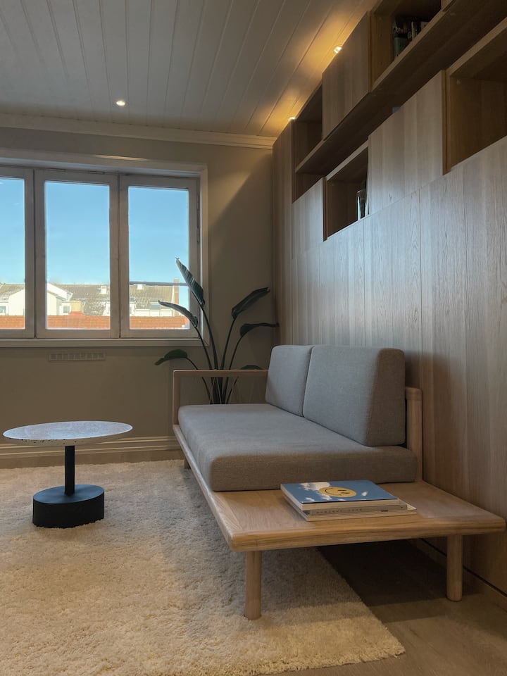Cozy small studio apartment in the heart of Oslo Apartments for Rent