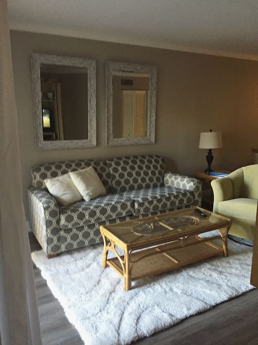 Living room w air sleeper sofa
