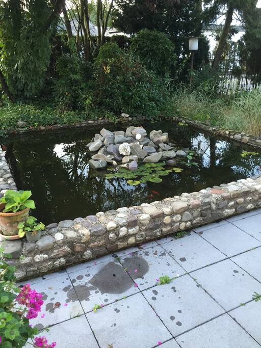 Pond