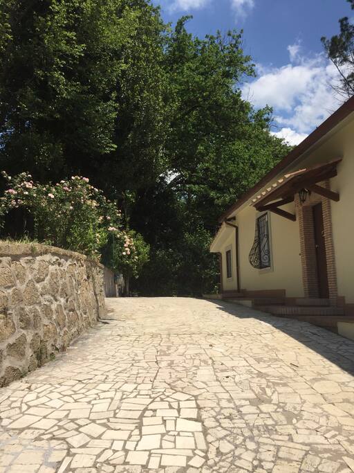 VILLA dei PROFUMI
VIEW