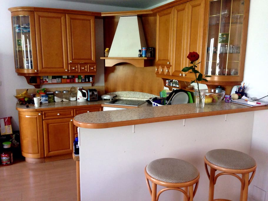 Kitchen is our dominant part of the apartment, lots of stuff for cooking/baking and many different proteins :))