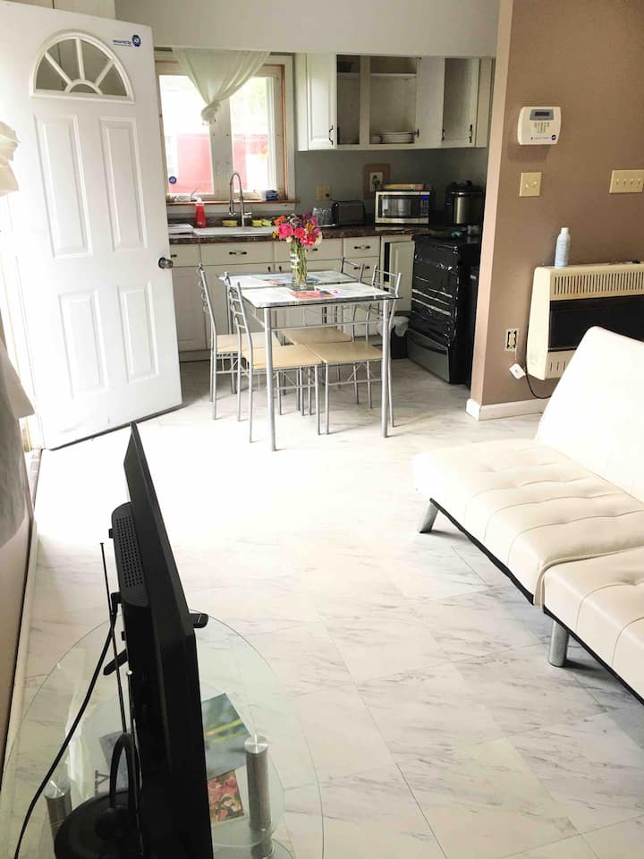 2 Bedrooms  And Sofabed. - Niagara Falls, NY