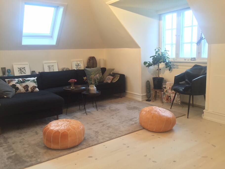 Living Room suited for relaxation after a busy day in the city