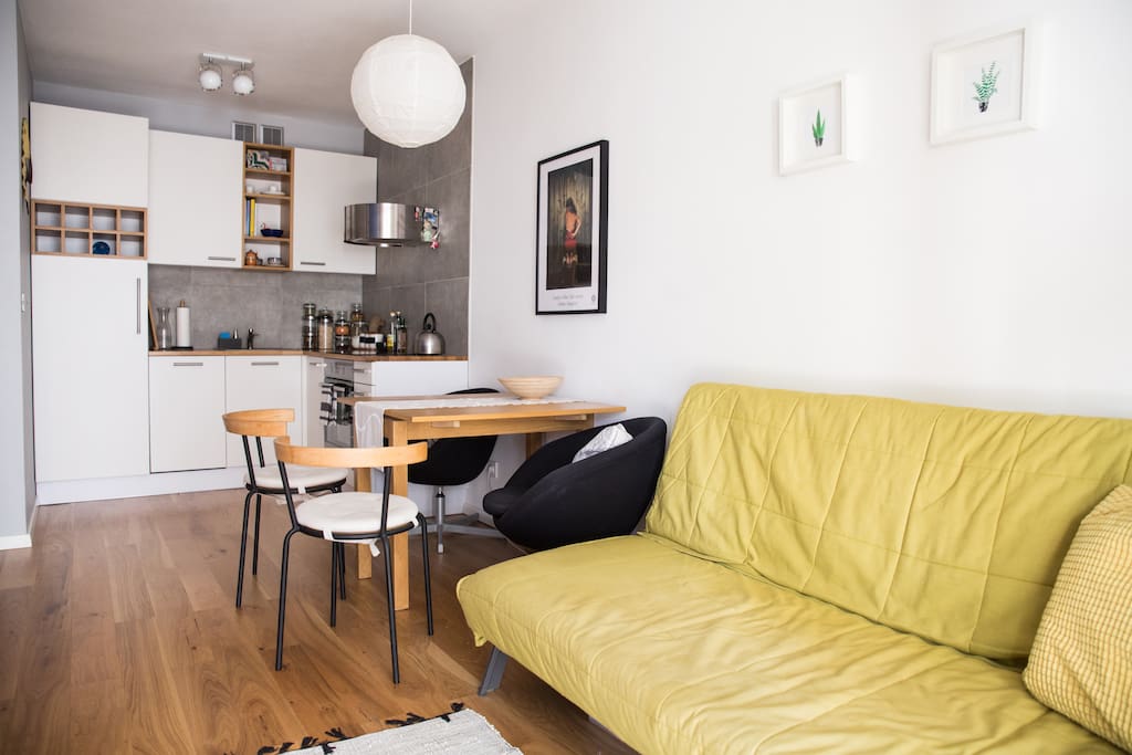 Salon z aneksem kuchennym // Living room with a kitchenette