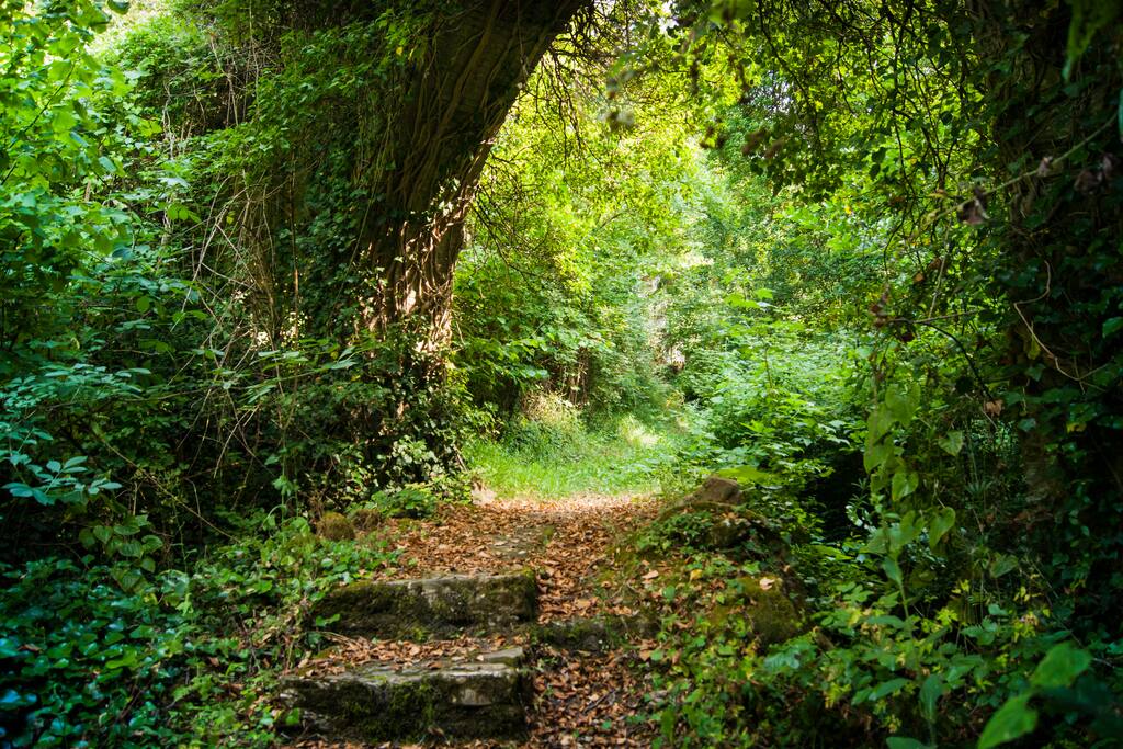The old stone arch entrance to the property