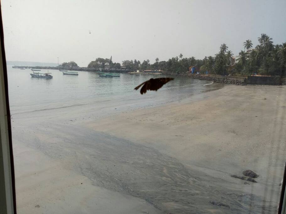 Seashore