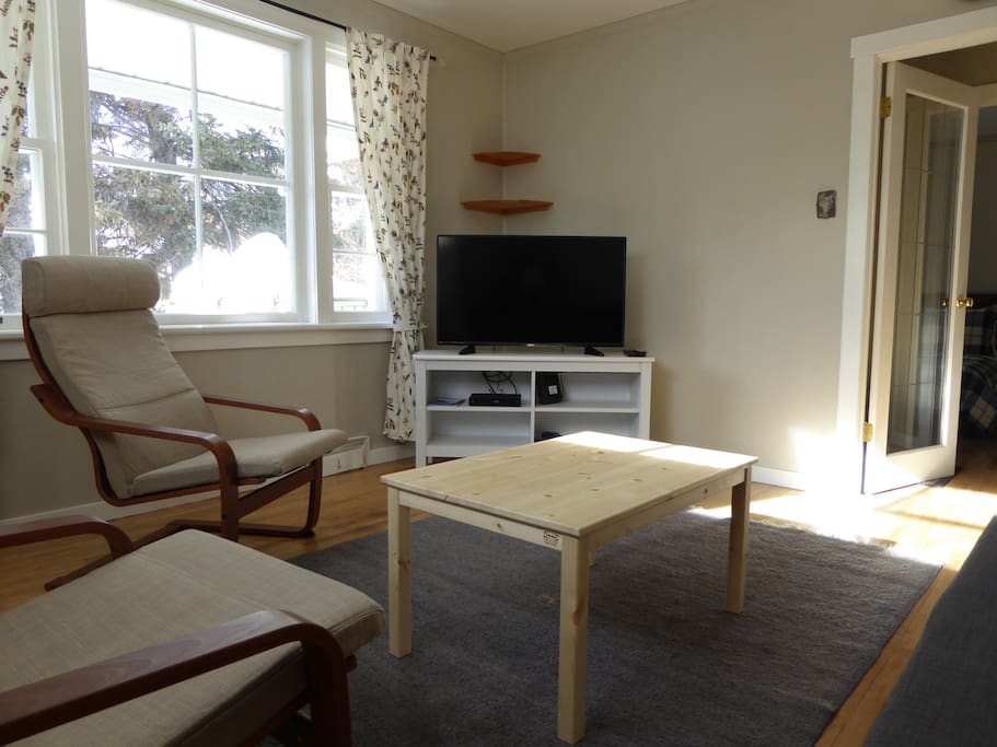 Living room 42" television