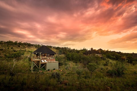 Mhondoro Safari Lodge