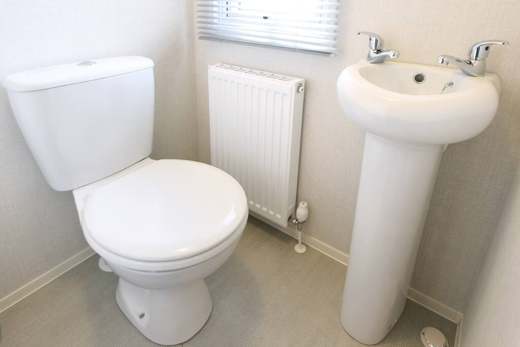 Toilet and sink of main bedroom