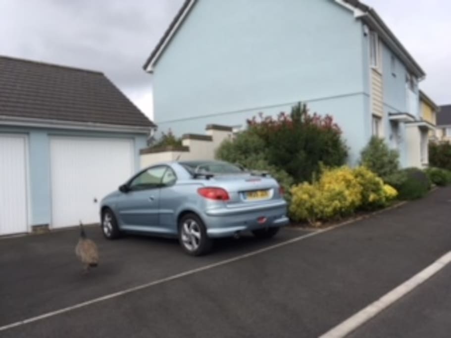 Off Road Parking