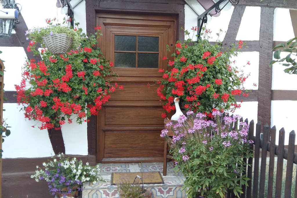 Der Eingang im Blumenmeer