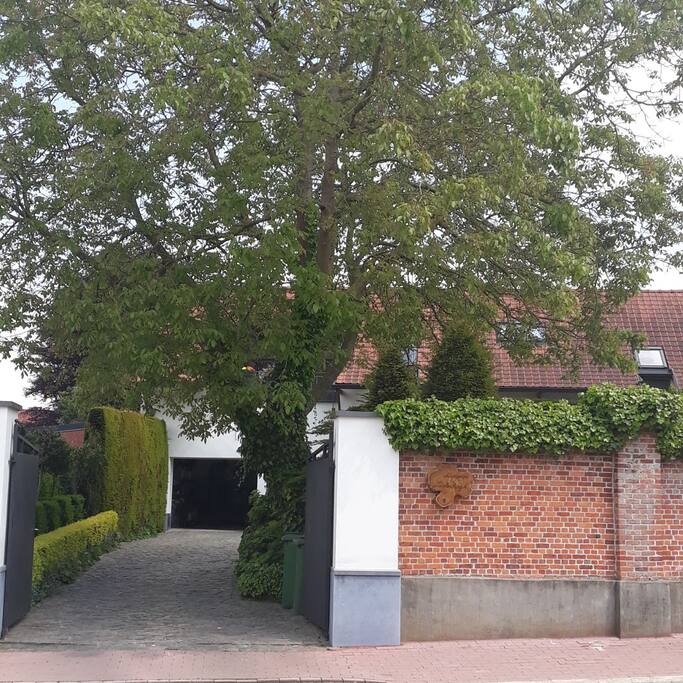 Entrance by the driveway