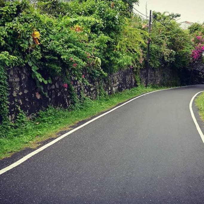Road to CozyNest