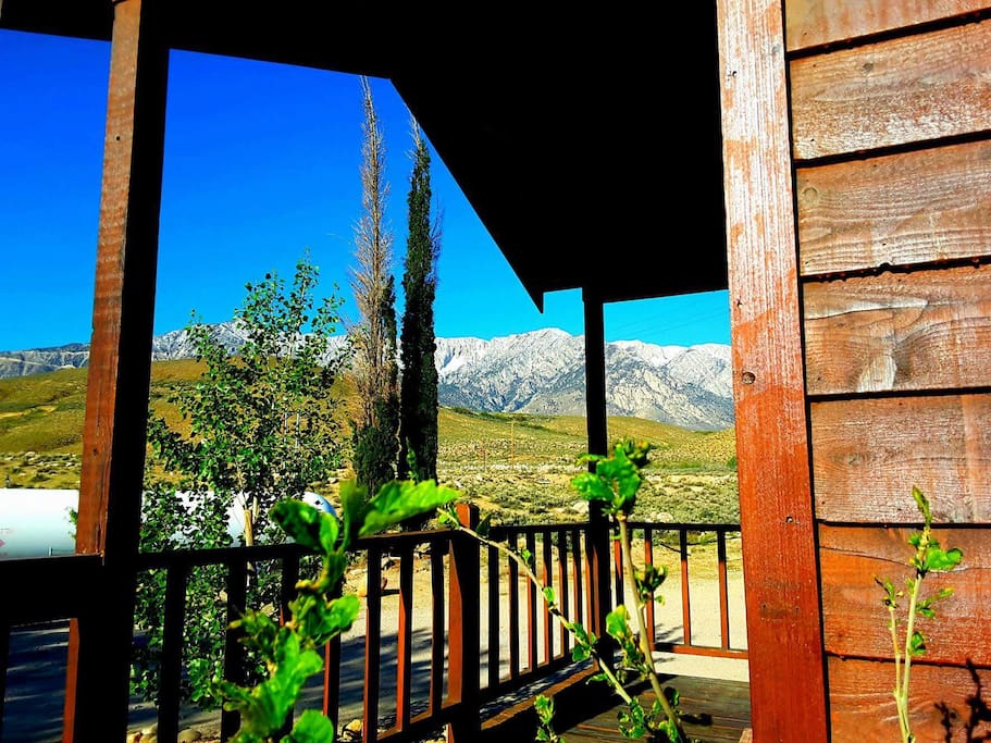 View from Porch