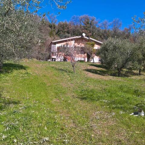 Airbnb Castelnuovo Di Farfa Vacation Rentals Places