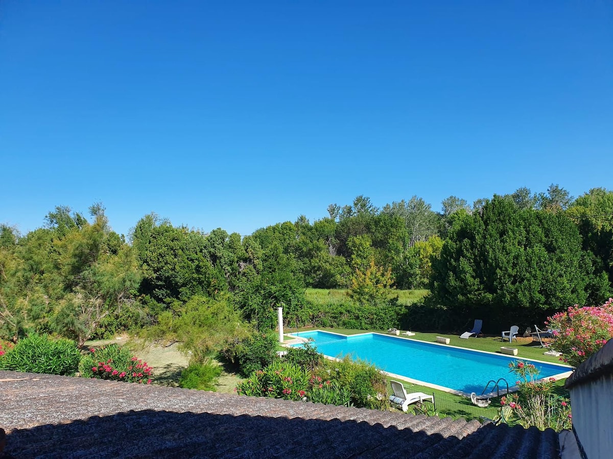 A large swimming pool is seen surrounded by greenery, with loungers positioned nearby. Lush trees and plants in vibrant colors frame the pool area, offering a serene atmosphere. Clear blue skies above contribute to a bright and open feel.