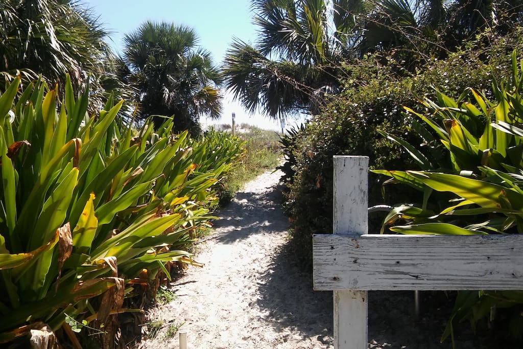 Beginning of beach path