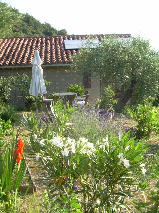 Breackfastin flower-vetgetable garden with vieuw on valley and Canigou