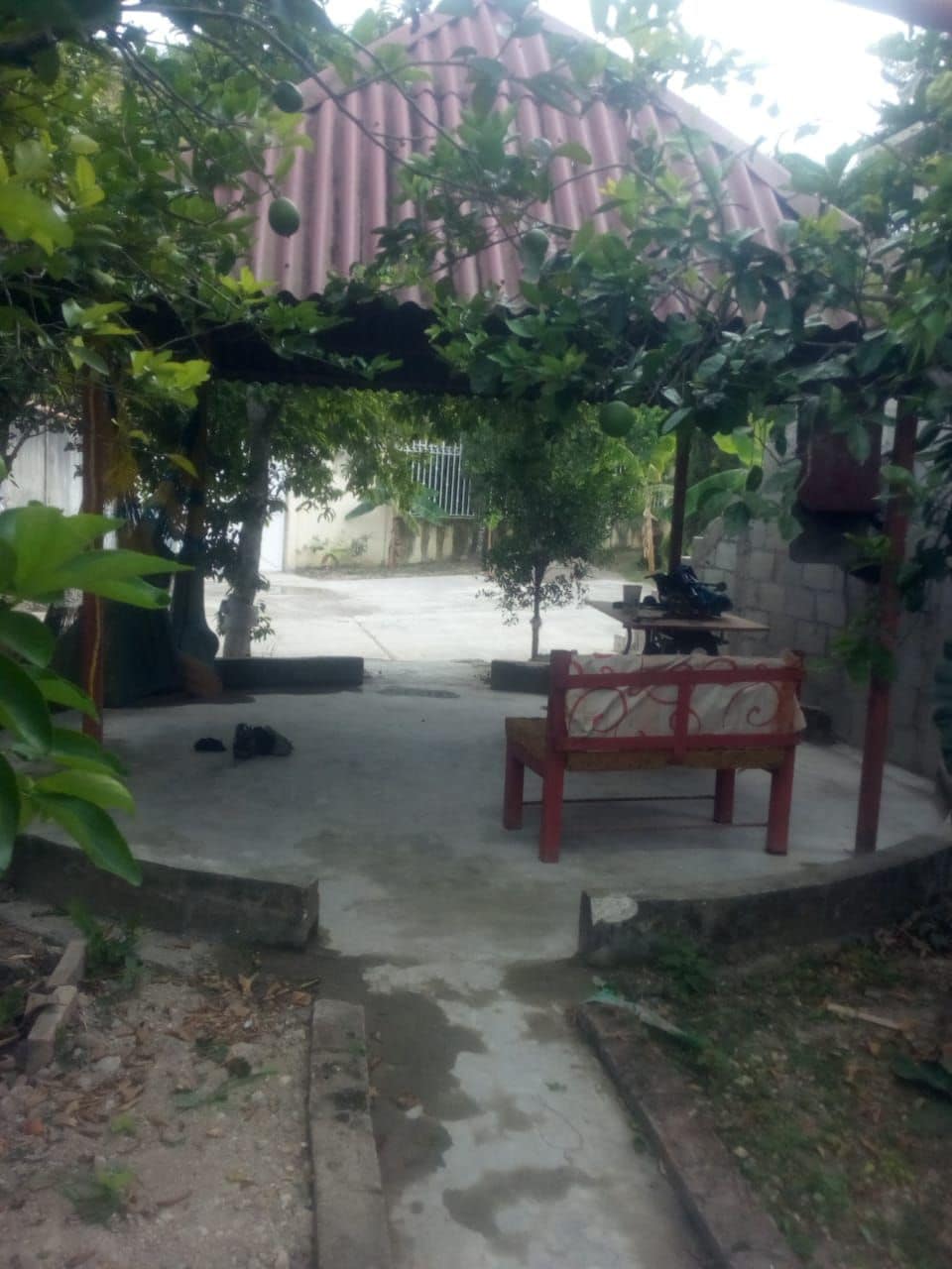 A shaded seating area featuring a red bench surrounded by greenery. A concrete path extends in the background, leading through a tranquil garden space. Subtle details of foliage and the roof design provide a serene atmosphere for relaxation.