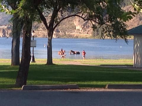 Hidden Gem on Skaha Lake