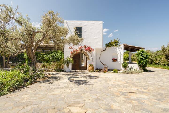 Los Olivos gallery image 5