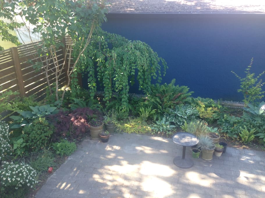 patio