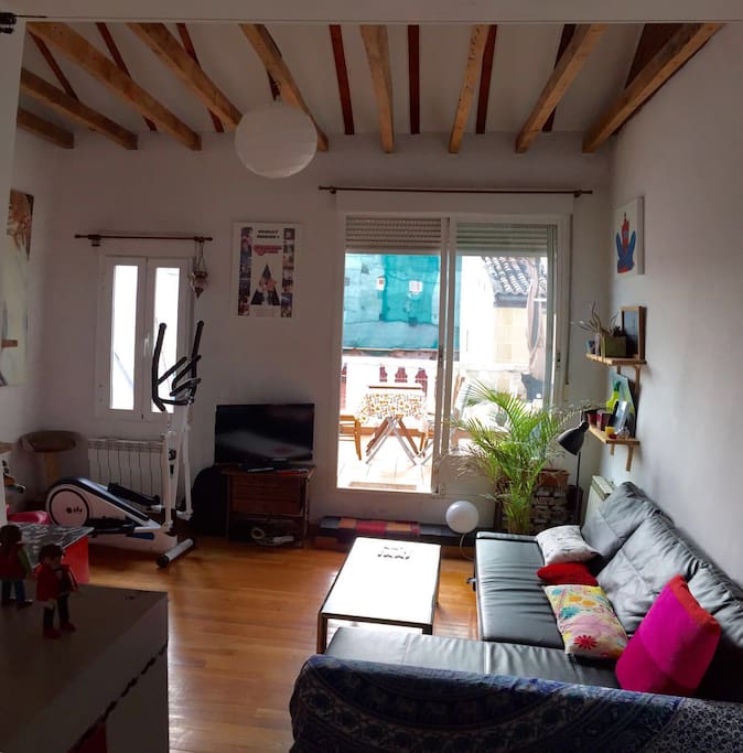 Living room, with the convertible sofa and an elliptic bike / Le salon, avec le canapé-lit et un vélo elliptique / El salon, con sofa cama y eliptica