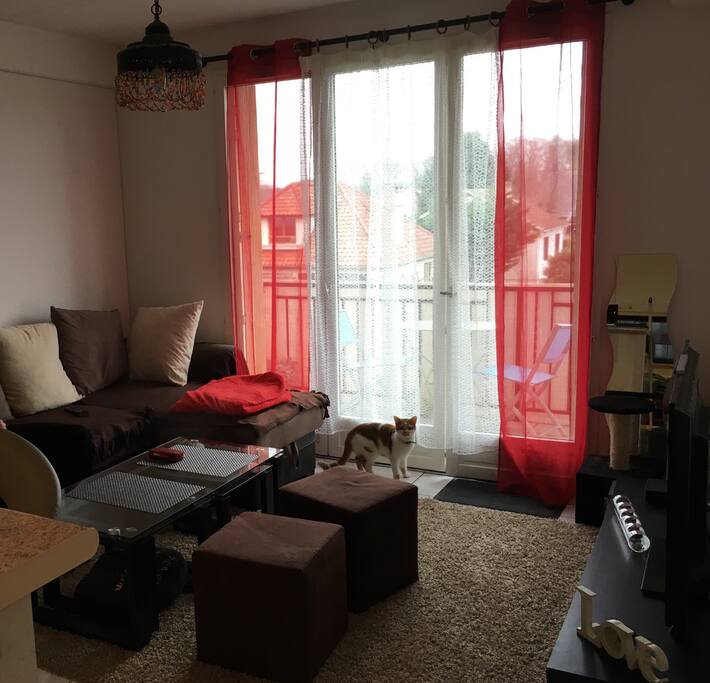 Salon avec canapé d'angle convertible, grande TV avec fibre et baie vitrée pour l'accès à la terrasse.
