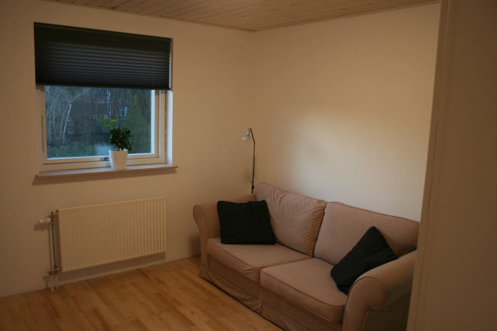 Guest room is equiped with 140x200 sofa bed.