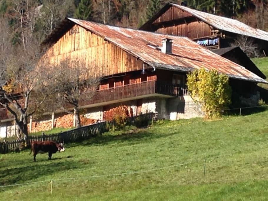 Fermes traditionnelles au Mont