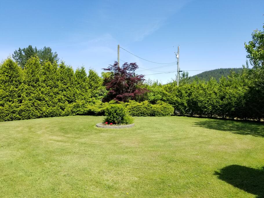 front yard