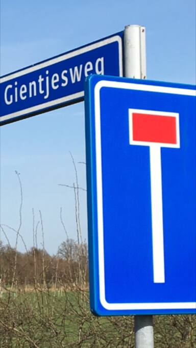 Gelegen middenin de natuur aan een rustig, doodlopend weggetje