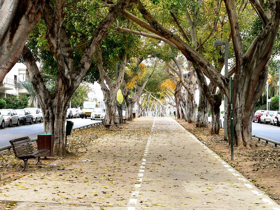Nordau street